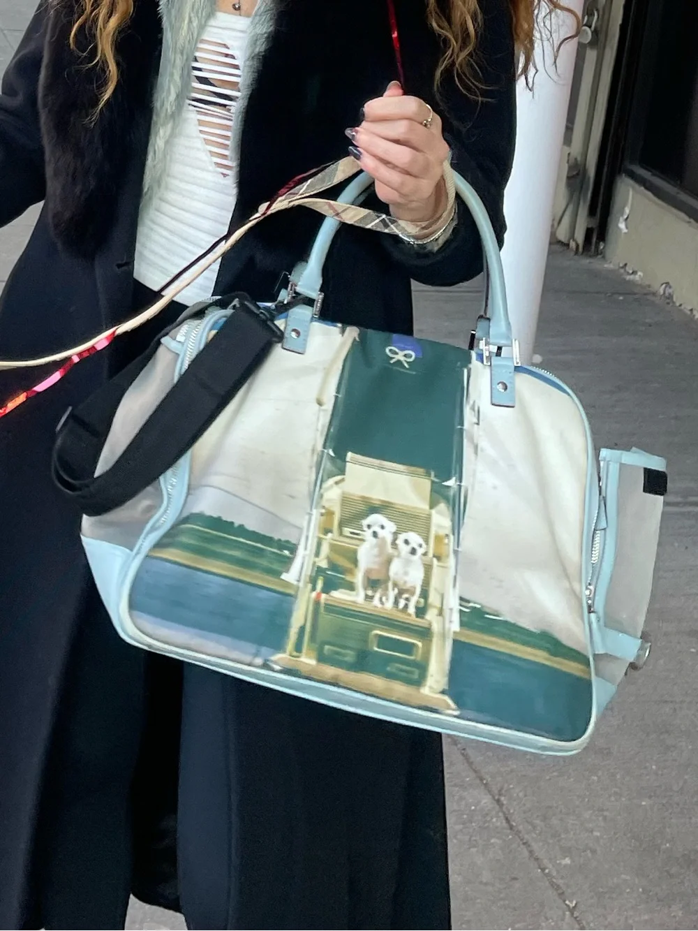 Designer Chihuahua flying private dog carrier